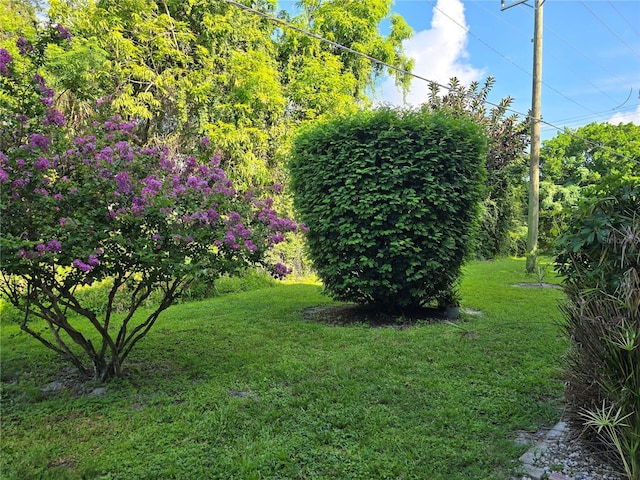 5850 Welcome Rd Unit J6, Bradenton, FL 34207 - view of green lawn