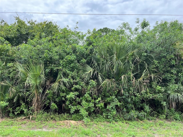 160 Mcarthur Blvd, Lehigh Acres, FL 33974 - photo 2