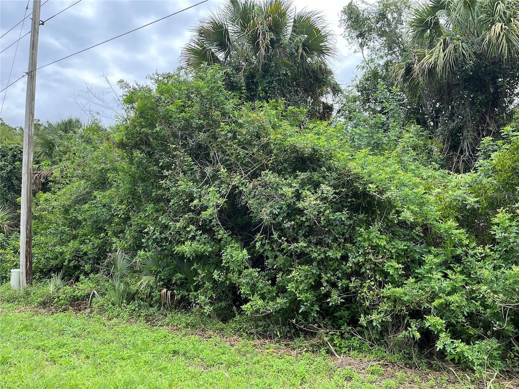 160 Mcarthur Blvd, Lehigh Acres, FL 33974 - photo 3