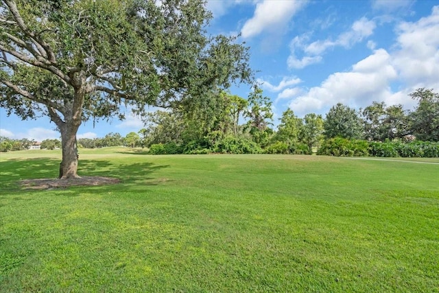 6713 Stone River Rd Unit 101, Bradenton, FL 34203 - view of grassy yard with golf course view and view of scattered trees