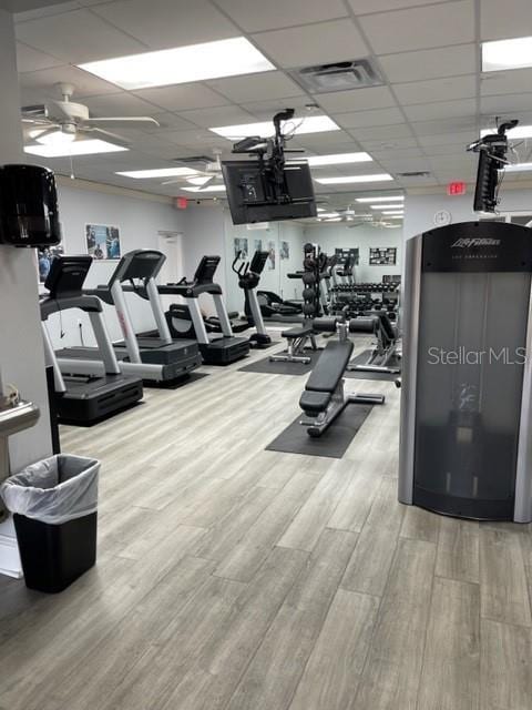 6713 Stone River Rd Unit 101, Bradenton, FL 34203 - workout area featuring a ceiling fan, wood finished floors, and a paneled ceiling