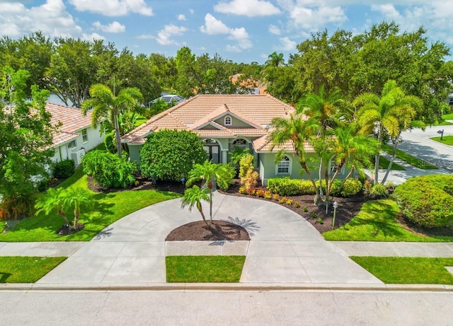 471 Park Trace Blvd, Osprey, FL 34229 - mediterranean / spanish home featuring a tile roof, stucco siding, and curved driveway