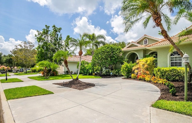 471 Park Trace Blvd, Osprey, FL 34229 - mediterranean / spanish home featuring stucco siding, curved driveway, and a tile roof