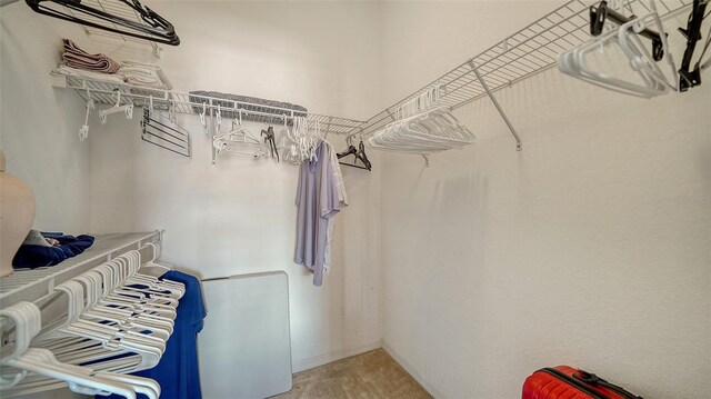 8397 38th Street Cir E Unit 306, Sarasota, FL 34243 - view of spacious closet