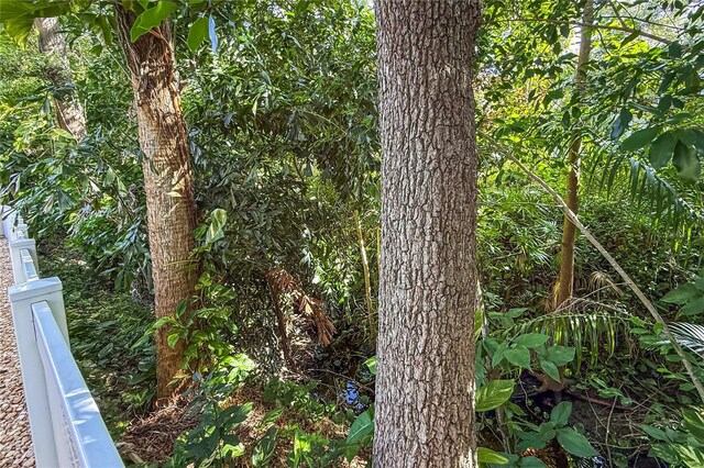 6818 Arbor Oaks Cir, Bradenton, FL 34209 - view of undeveloped land