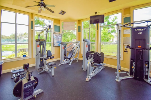 4802 51st St W Unit 1310, Bradenton, FL 34210 - gym with baseboards and a ceiling fan