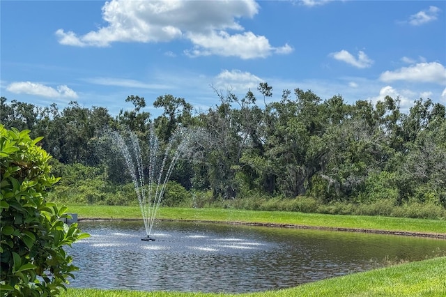 5344 Grove Mill Loop, Lakewood Ranch, FL 34211 - photo 17