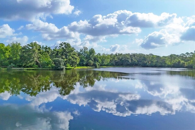 4658 Longwater Chase Unit 104, Sarasota, FL 34235 - water view with a forest