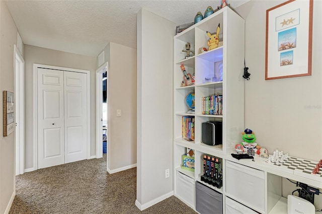 3911 91st Ave E, Parrish, FL 34219 - corridor featuring dark colored carpet and a textured ceiling