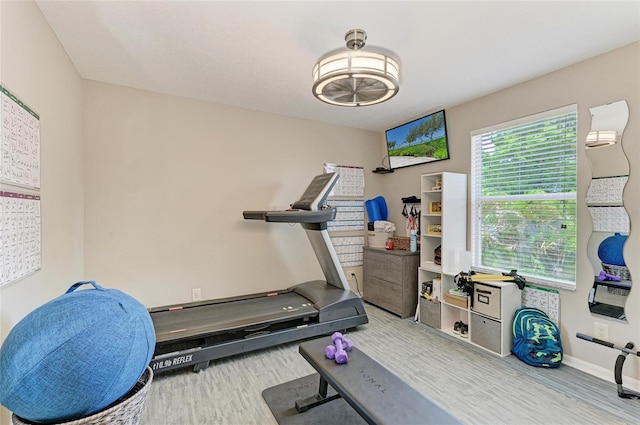 3911 91st Ave E, Parrish, FL 34219 - exercise area featuring wood finished floors and baseboards