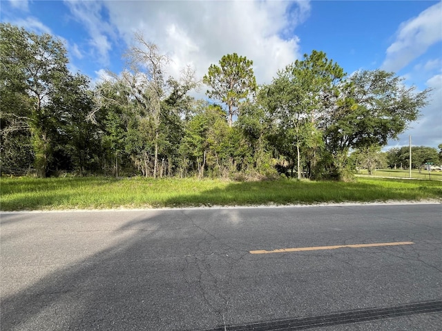 TBD SE County Road 337, Morriston, FL 32668 - photo 1