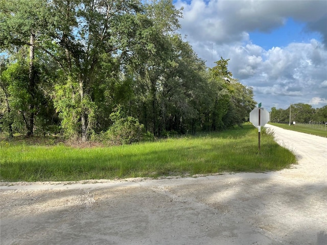 TBD SE County Road 337, Morriston, FL 32668 - photo 3