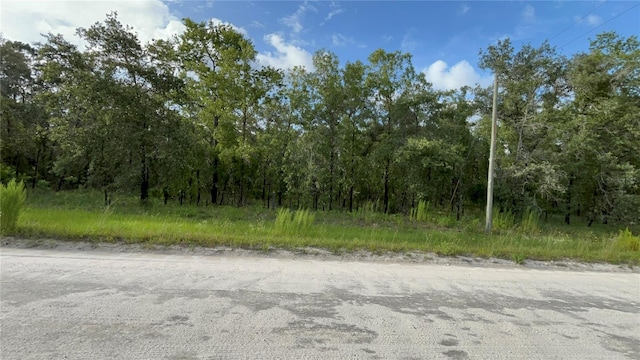 TBD SE County Road 337, Morriston, FL 32668 - photo 6