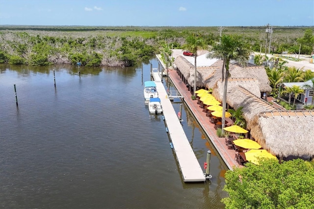 1402 SW 4th Ln, Cape Coral, FL 33991 - bird's eye view of a large body of water