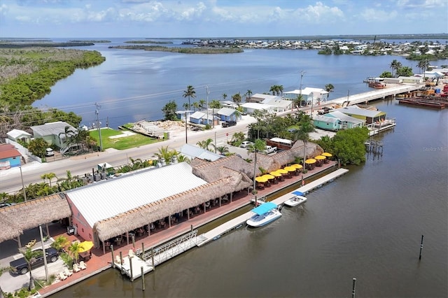 1402 SW 4th Ln, Cape Coral, FL 33991 - aerial view of a nearby body of water