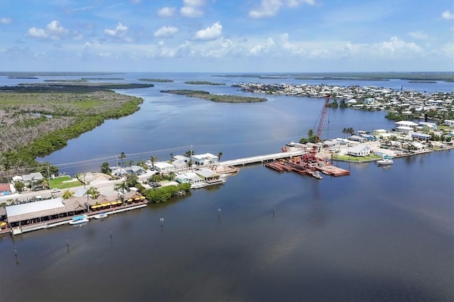 1402 SW 4th Ln, Cape Coral, FL 33991 - bird's eye view of a large body of water