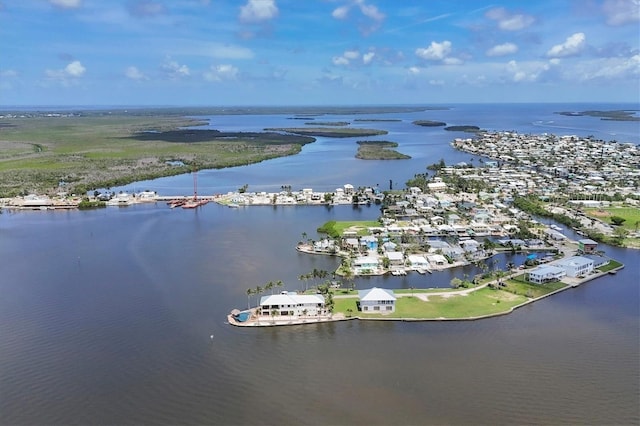 1402 SW 4th Ln, Cape Coral, FL 33991 - aerial view of a large body of water