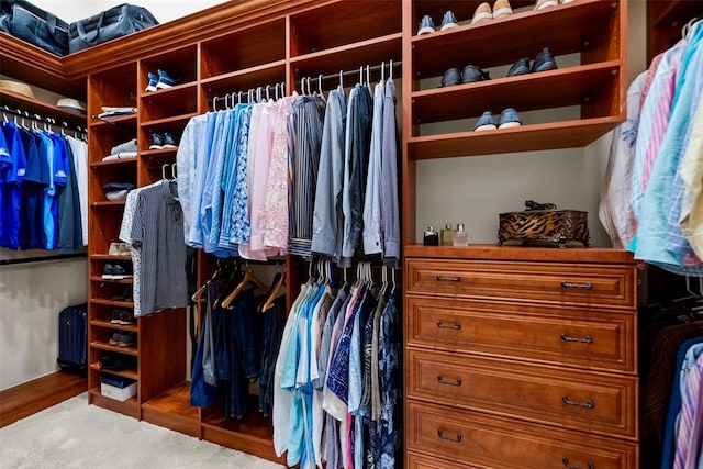 6926 Lacantera Cir, Lakewood Ranch, FL 34202 - view of spacious closet