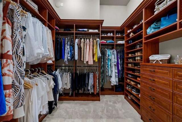 6926 Lacantera Cir, Lakewood Ranch, FL 34202 - spacious closet featuring carpet