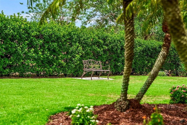 6926 Lacantera Cir, Lakewood Ranch, FL 34202 - view of grassy yard