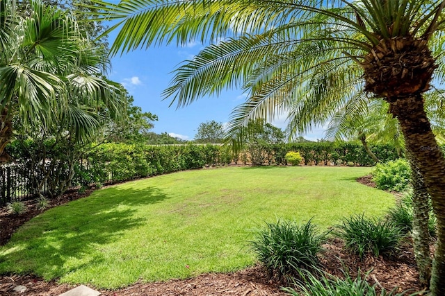 6926 Lacantera Cir, Lakewood Ranch, FL 34202 - view of yard