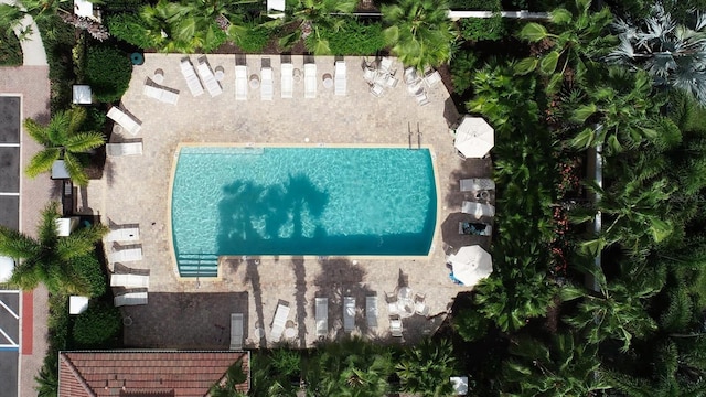 7912 Limestone Ln Unit 19-202, Sarasota, FL 34233 - photo 35