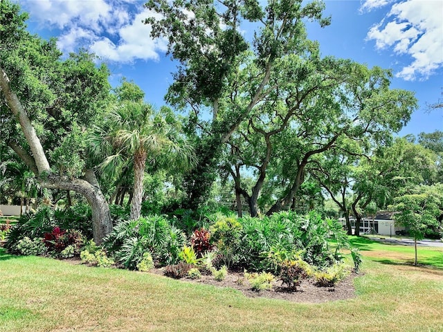 3518 Wilkinson Woods Dr Unit 11, Sarasota, FL 34231 - view of green lawn