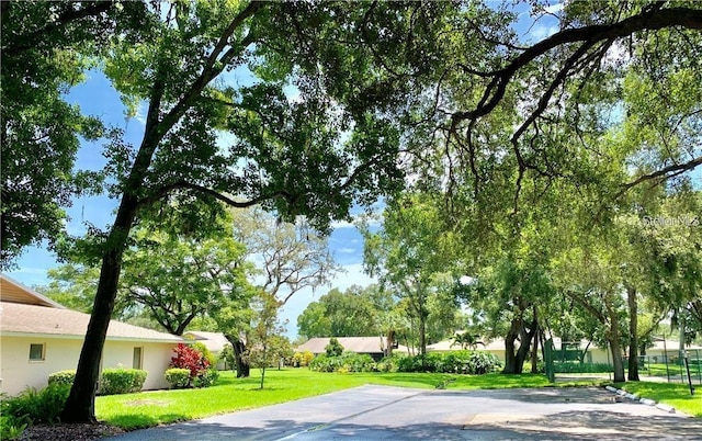 3518 Wilkinson Woods Dr Unit 11, Sarasota, FL 34231 - view of property's community featuring a lawn