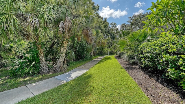 12317 Goldenrod Ave, Bradenton, FL 34212 - photo 59