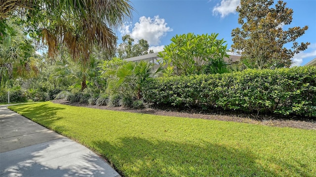 12317 Goldenrod Ave, Bradenton, FL 34212 - photo 60