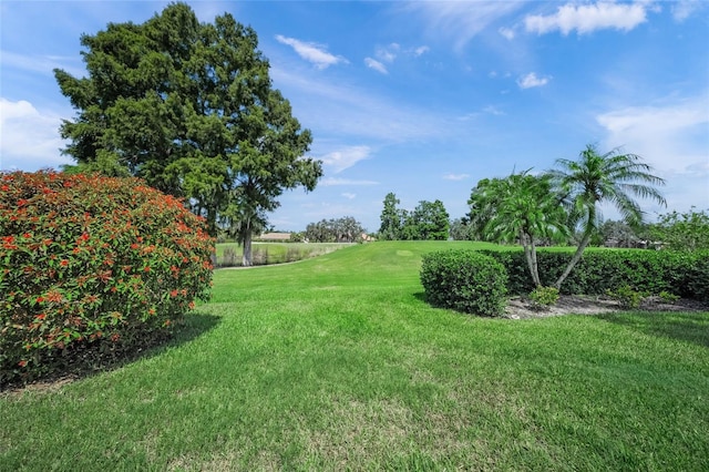 2936 Jeff Myers Cir, Sarasota, FL 34240 - photo 59