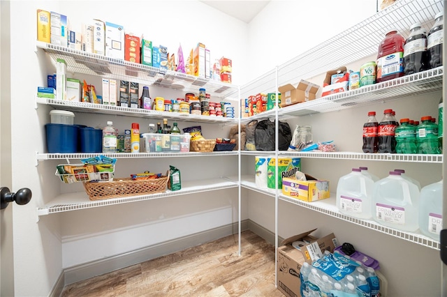 174 SW Caboose Dr, Fort White, FL 32038 - view of pantry