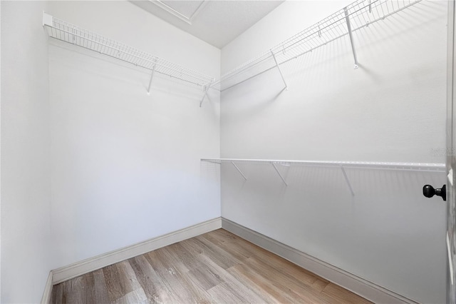 174 SW Caboose Dr, Fort White, FL 32038 - walk in closet with light wood finished floors