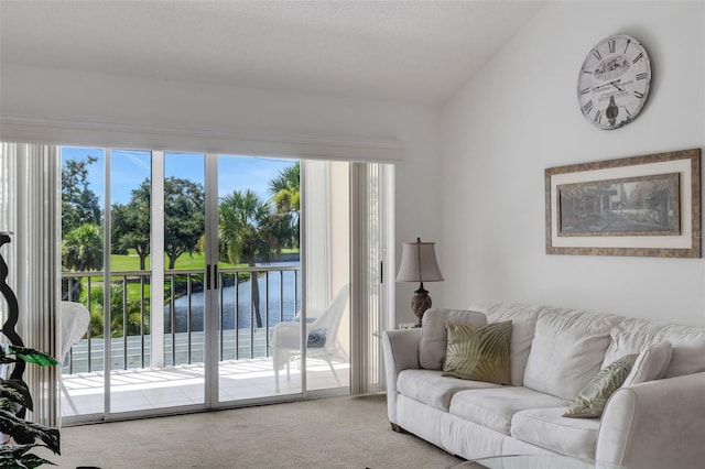 448 Cerromar Rd Unit 289, Venice, FL 34293 - photo 18