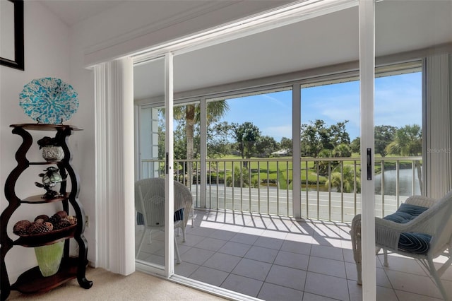 448 Cerromar Rd Unit 289, Venice, FL 34293 - photo 21