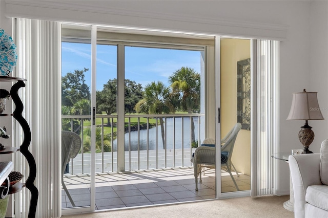 448 Cerromar Rd Unit 289, Venice, FL 34293 - photo 22