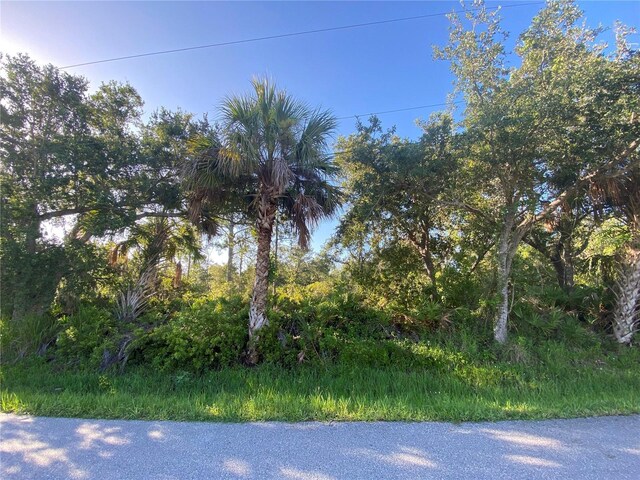 LOT5 De Herreda Dr, North Port, FL 34287 - photo 1