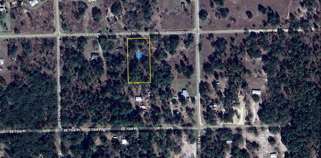 21545 SE 71st Pl, Morriston, FL 32668 - photo 2
