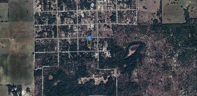 21545 SE 71st Pl, Morriston, FL 32668 - photo 3