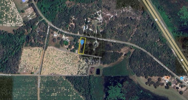 4904 Avon Park Cutoff Rd, Avon Park, FL 33825 - photo 3