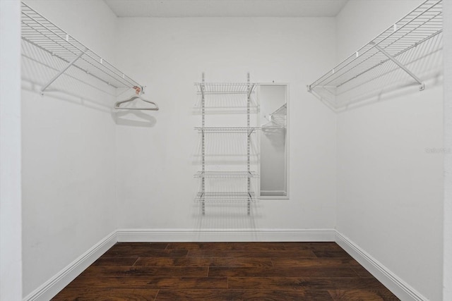 970 Sandpiper Cir Unit 970, Bradenton, FL 34209 - spacious closet with wood finished floors