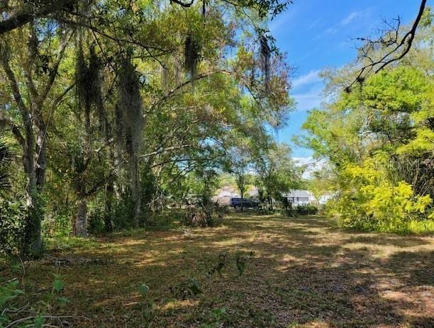 Brazilnut Ave, Sarasota, FL 34234 - photo 3