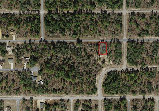 2272 W Chamberlain St, Dunnellon, FL 34434 - photo 3