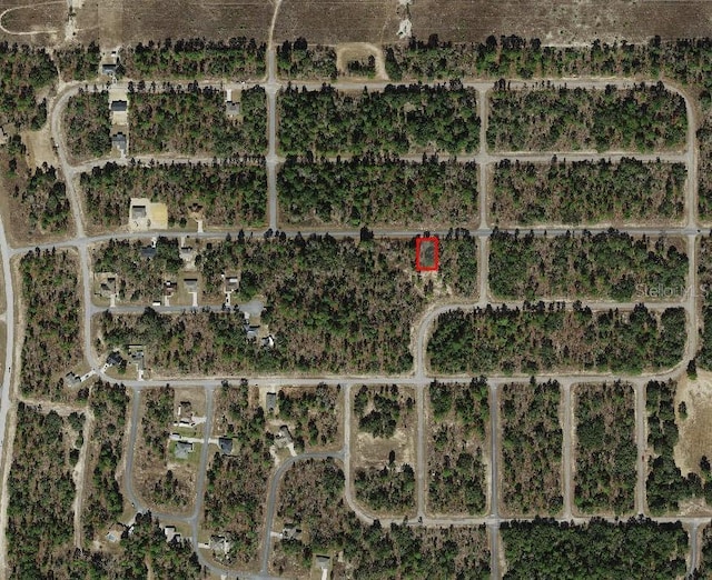 2272 W Chamberlain St, Dunnellon, FL 34434 - photo 4