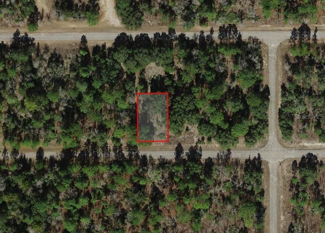 2287 W Bentley St, Dunnellon, FL 34434 - photo 2