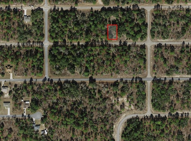 2287 W Bentley St, Dunnellon, FL 34434 - photo 3