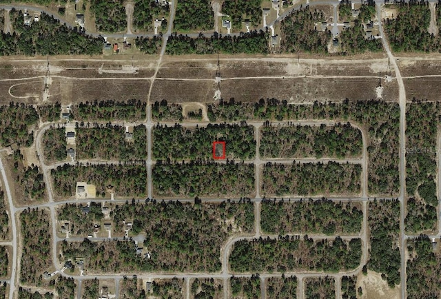 2287 W Bentley St, Dunnellon, FL 34434 - photo 4