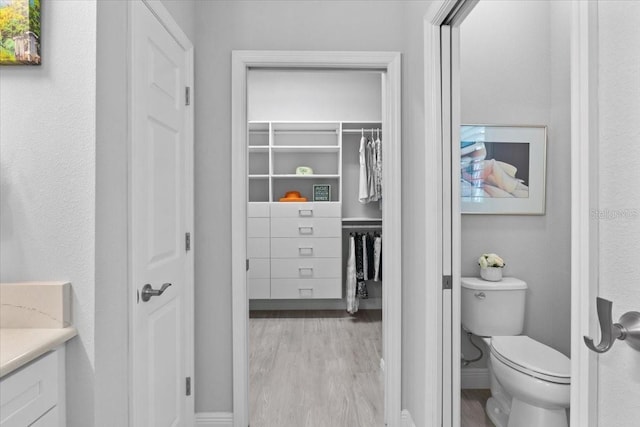 3605 Wild Blossom Pl, Parrish, FL 34219 - bathroom with wood finished floors and vanity
