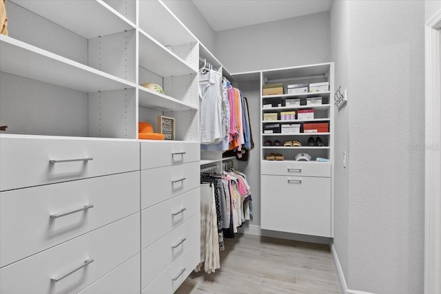 3605 Wild Blossom Pl, Parrish, FL 34219 - spacious closet with light wood-style flooring
