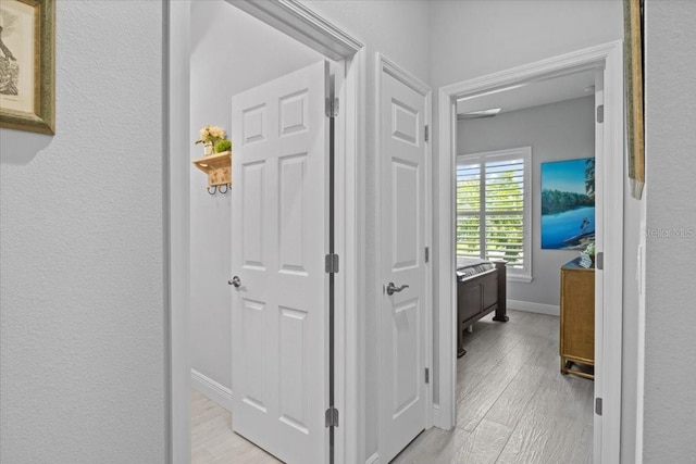 3605 Wild Blossom Pl, Parrish, FL 34219 - hallway with light wood-type flooring and baseboards
